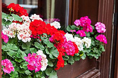 《英雄传说 黎之轨迹Ⅱ-绯红原罪-》现已在Steam发售